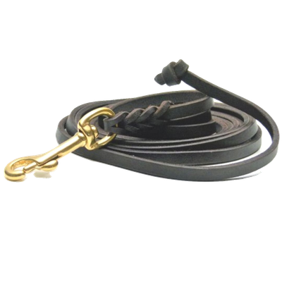Leather leashes