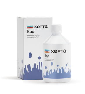 Xepta Coral Bac