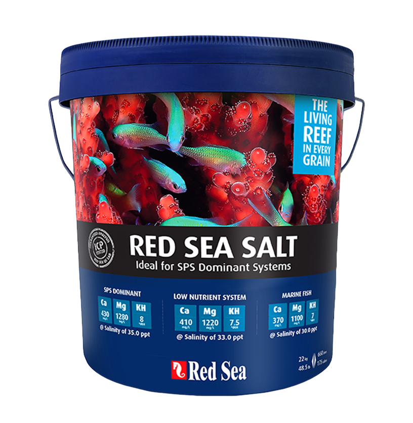 Red Sea Red Sea Salt