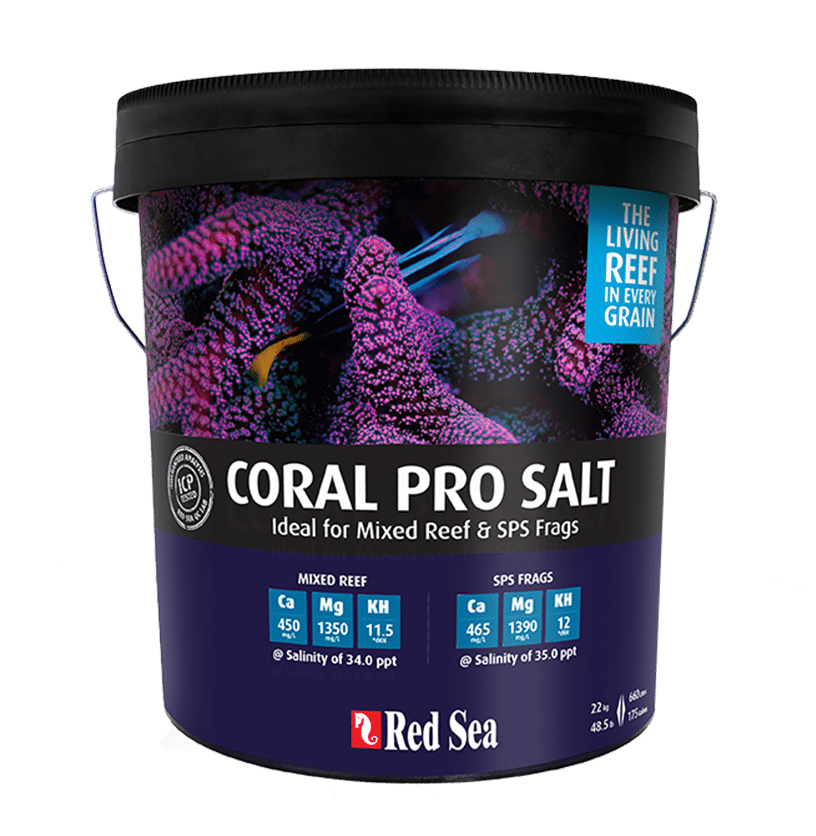 Red Sea Red Coral Pro