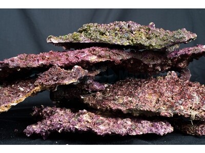 Real Reef Rock - Shelf Rock 1kg.
