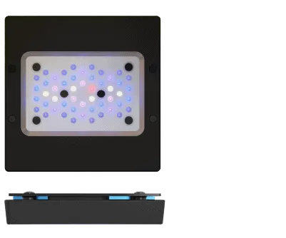 Ecotech Marine Radion X15 G6 BLEU