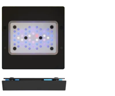 Ecotech Marine Radion X15 G6 BLEU