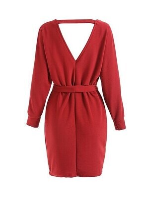 Women's Sheath Dress Short Mini Dress