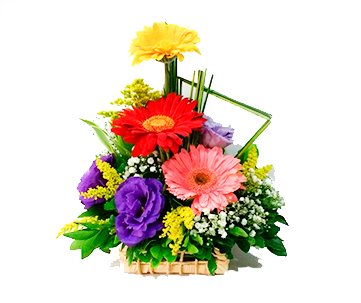 Arranjo de Gérberas com Lisianthus