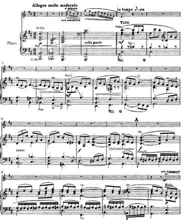 Accompaniment: Carl Reinecke Concerto (only part1) for Flute and Piano Op.283