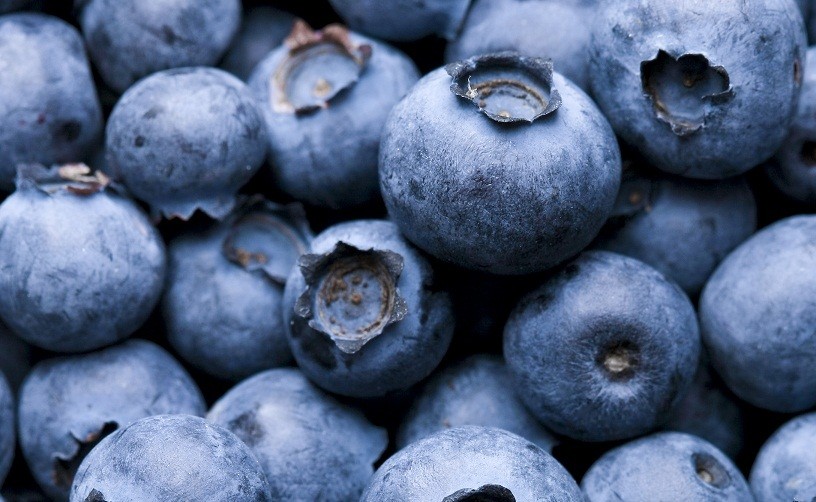 Blueberry