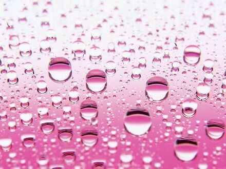 Pink Rain