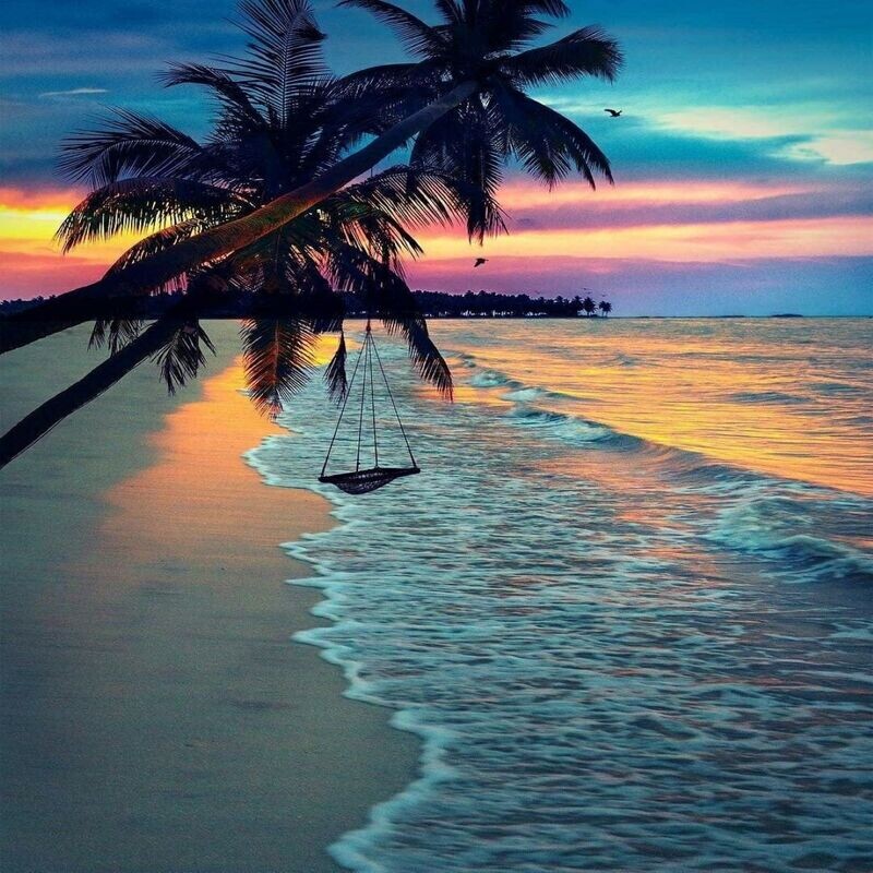 Paradise