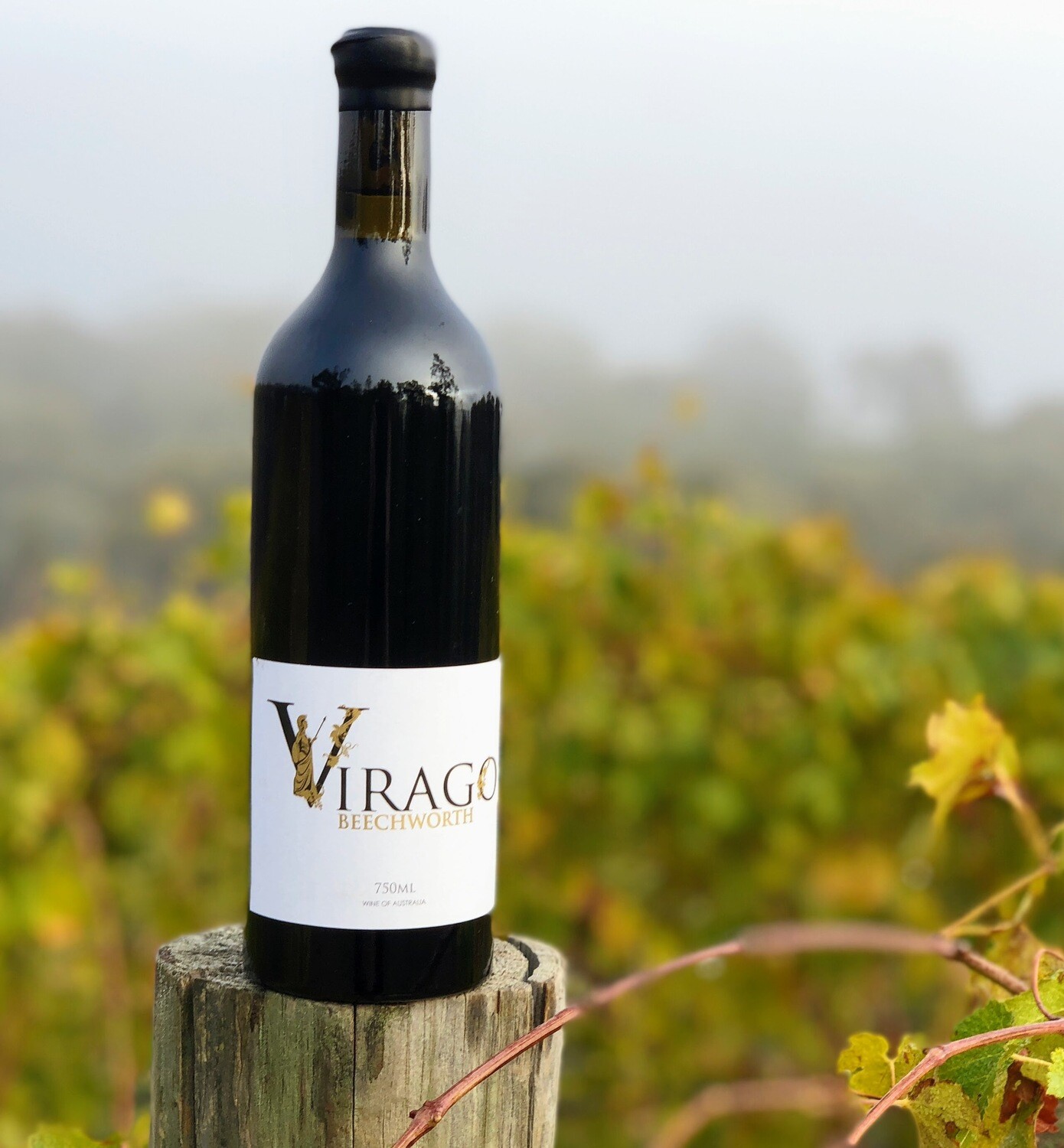 2014 Virago Nebbiolo