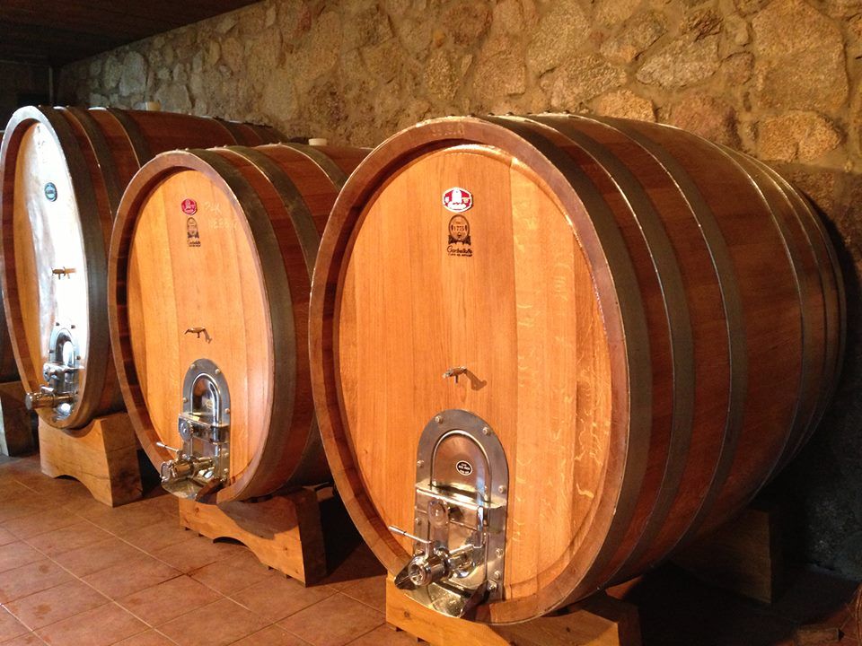 Virago Nebbiolo 2015