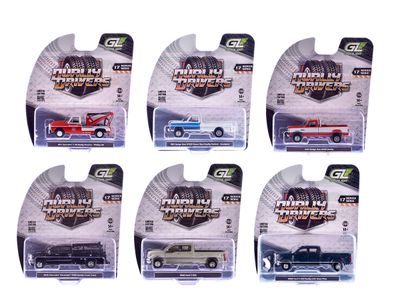 1:64 Dually Drivers Series 17