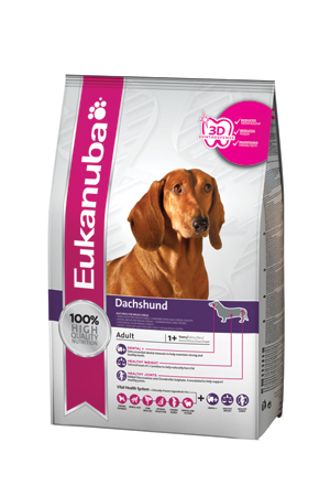 eukanuba dachshund