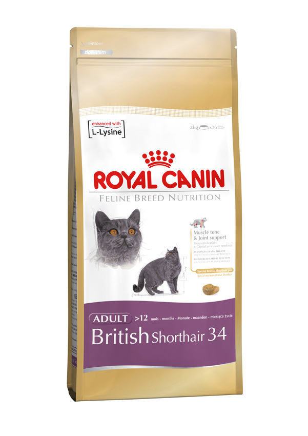 royal canin british shorthair