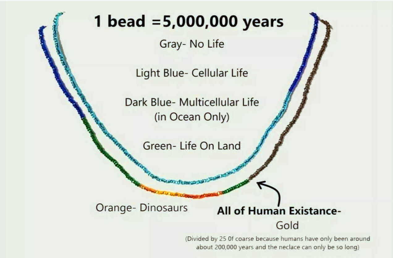 Life on Earth Timeline Necklace ~ Science Visual ~ Silver Lined Glass Seed Beads