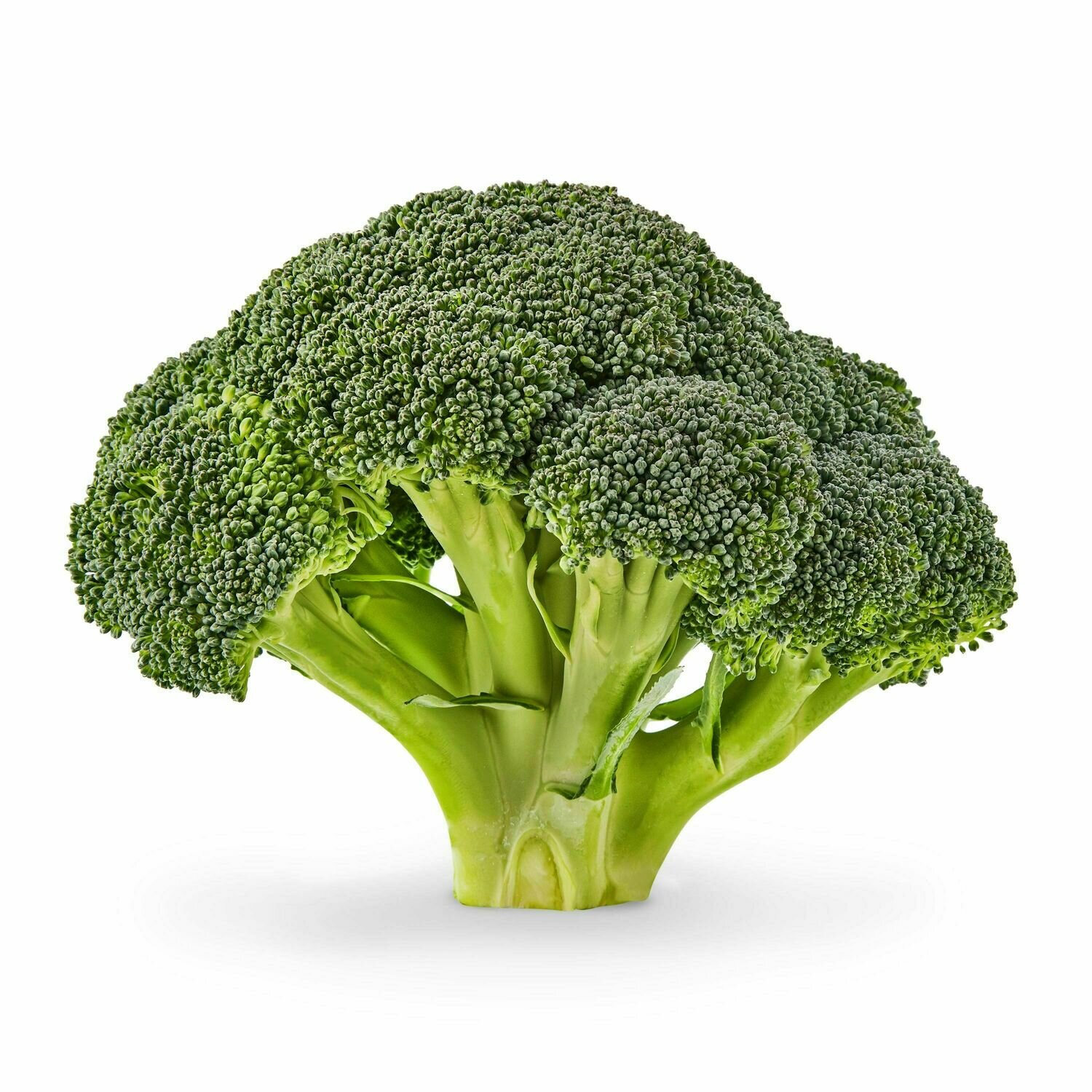 Broccoli - Crowns (1 LB)