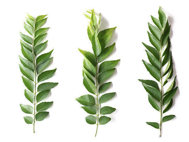 Curry Leaves