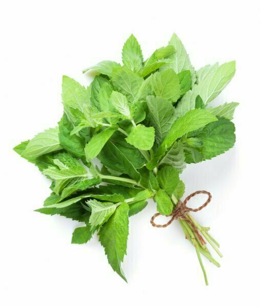 Mint 1 Bunch