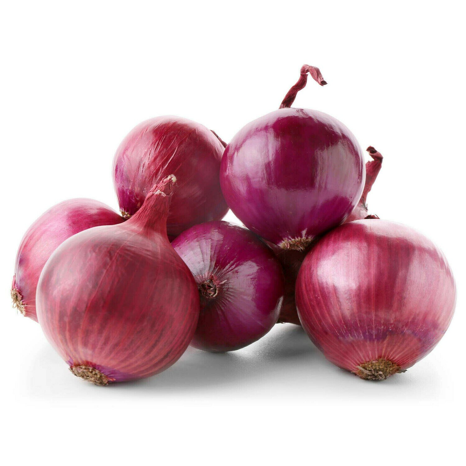 Onion Red (10 LB)