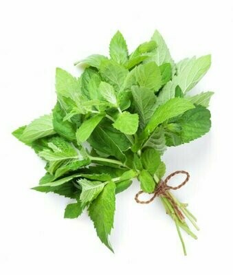 Mint 1 Bunch