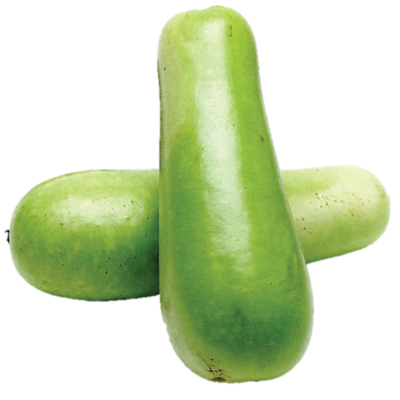 Squash - Long (2 LB)