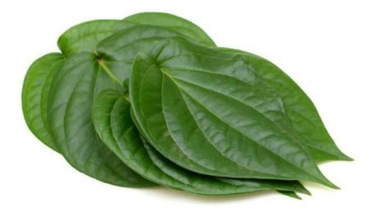Paan Leaves 5 PC