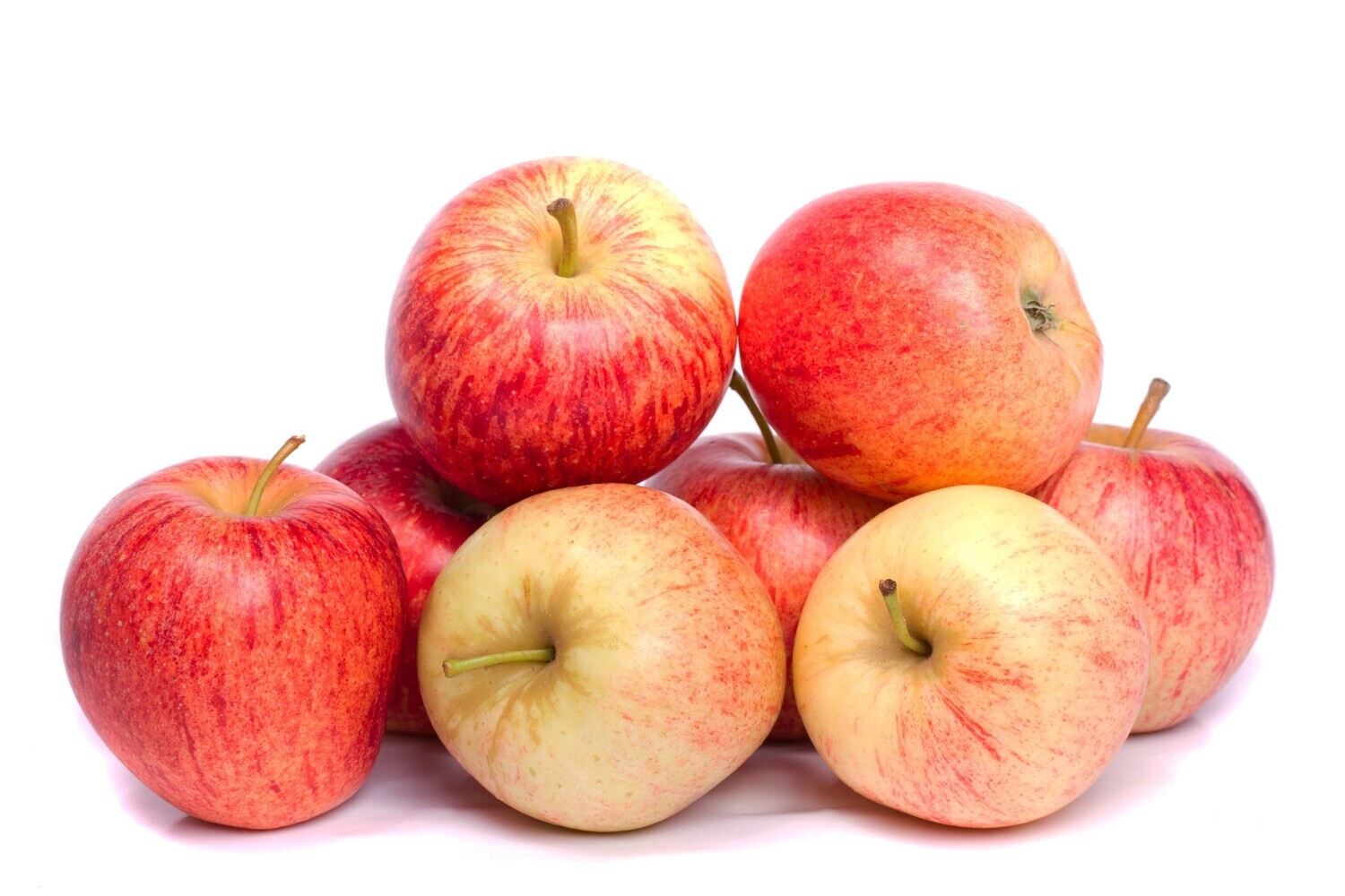Apple - Gala (5 CT)