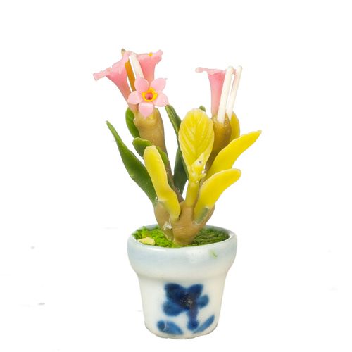 Ixtora in a Pot
