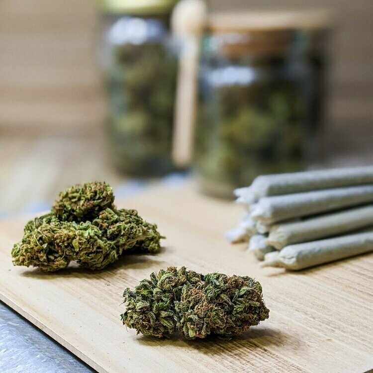 DELTA•804 Pre-Rolls