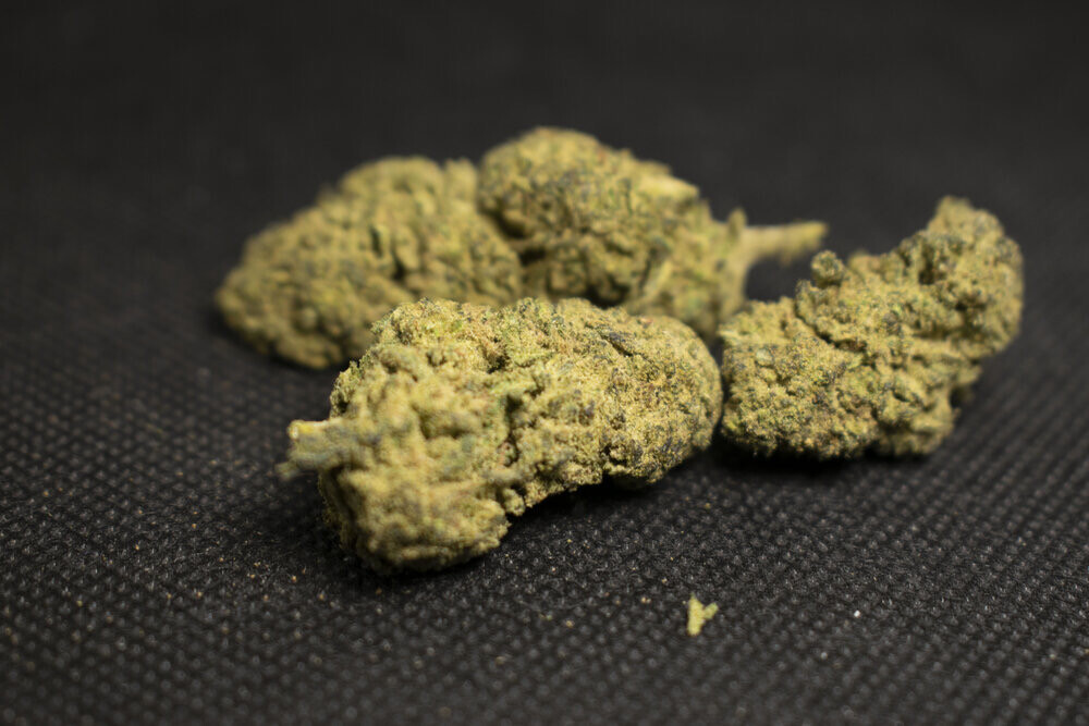 DELTA•804 Premium Flower