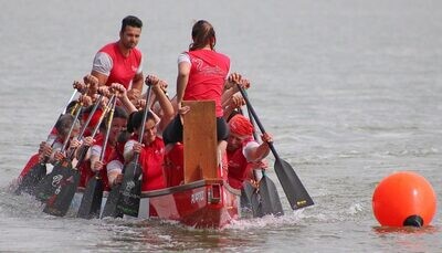 Dragonboat Paddles