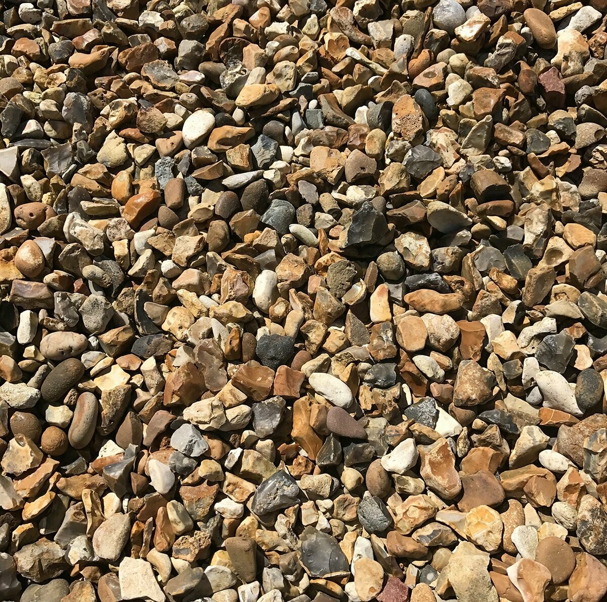 GOLDEN GRAVEL