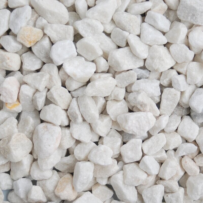 POLAR WHITE