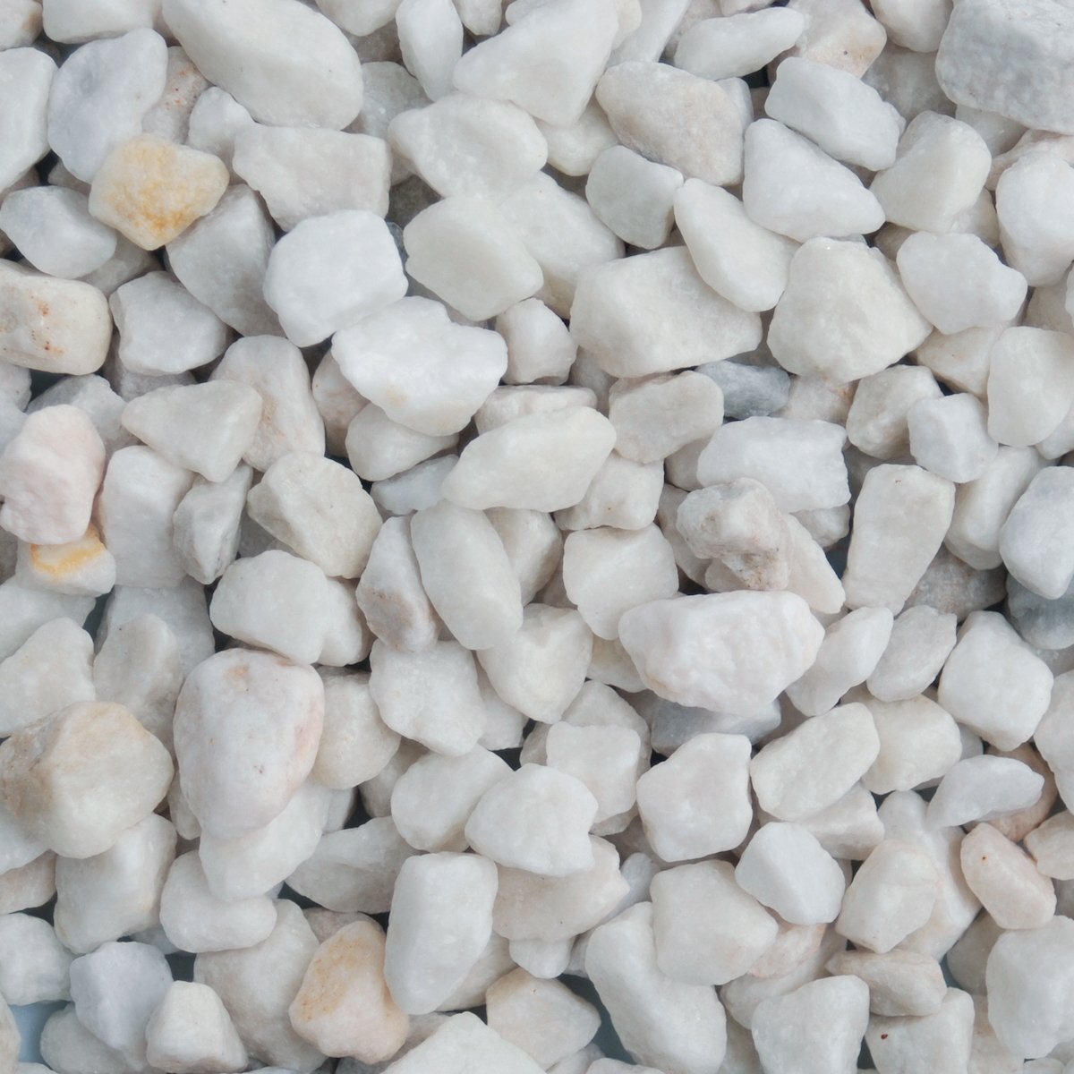POLAR WHITE