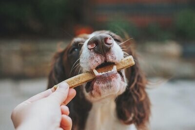 Snacks & Trainingsleckerchen