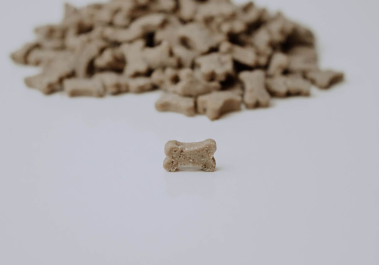 Minis Pferd und Kartoffel