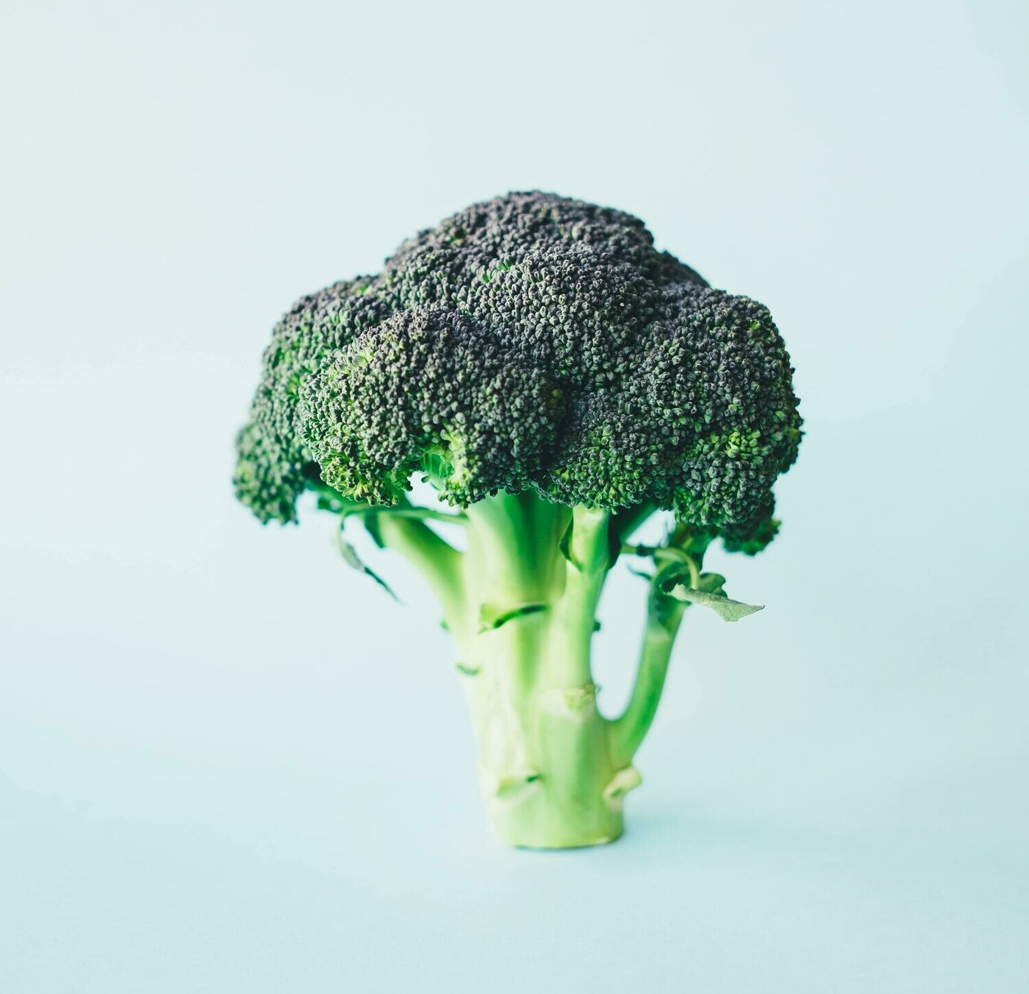 Cauliflower (Green)