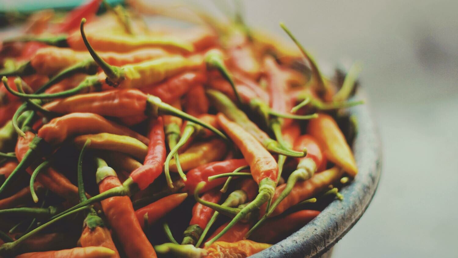 Thai red birds eye Chilli (Jinda)