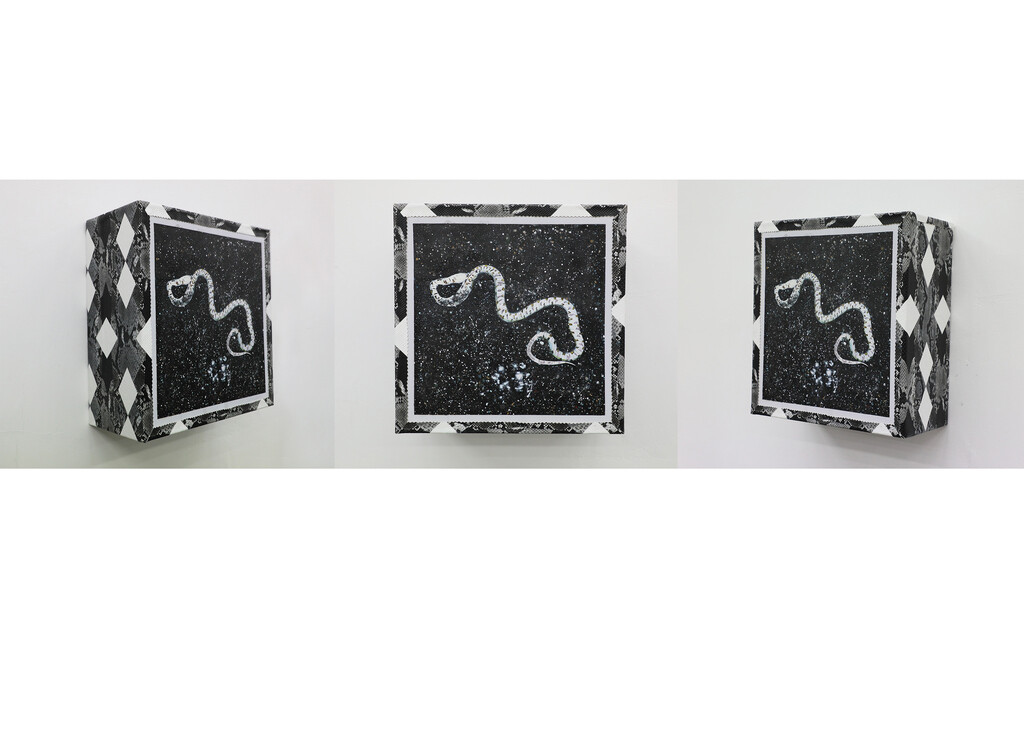 Ma WenTing 马文婷 - The Illustration of the Wild: From Michael Lundgren No.1 (2018)