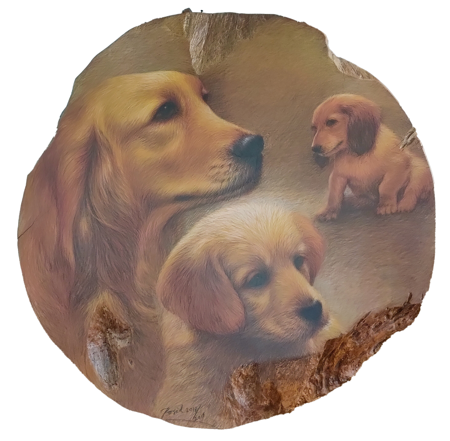 Rosid - TIGA ANJING (2017-2018)