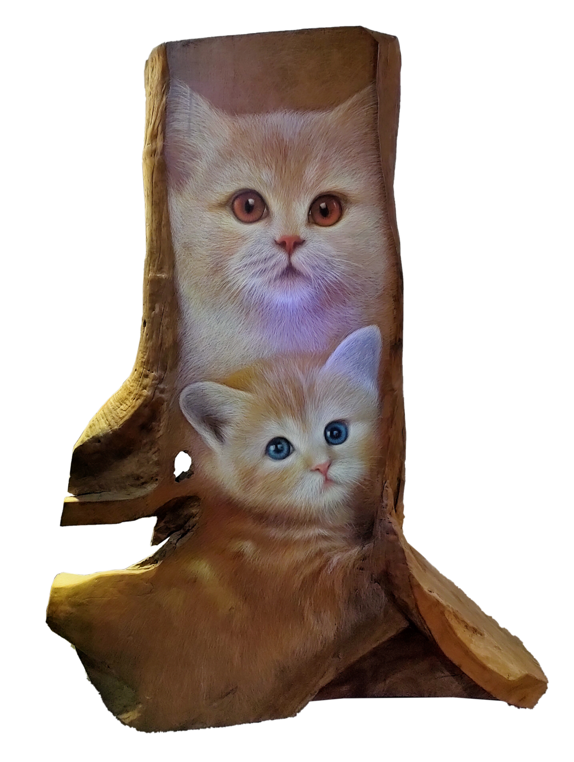 Rosid - Dua Kucing (2017-2019)