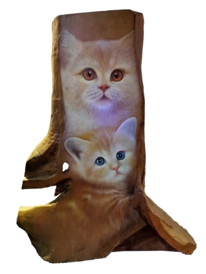 Rosid - Dua Kucing (2017-2019)