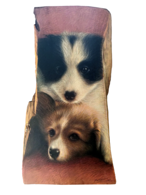 Rosid - ANJING BERMAIN (2018-2019)