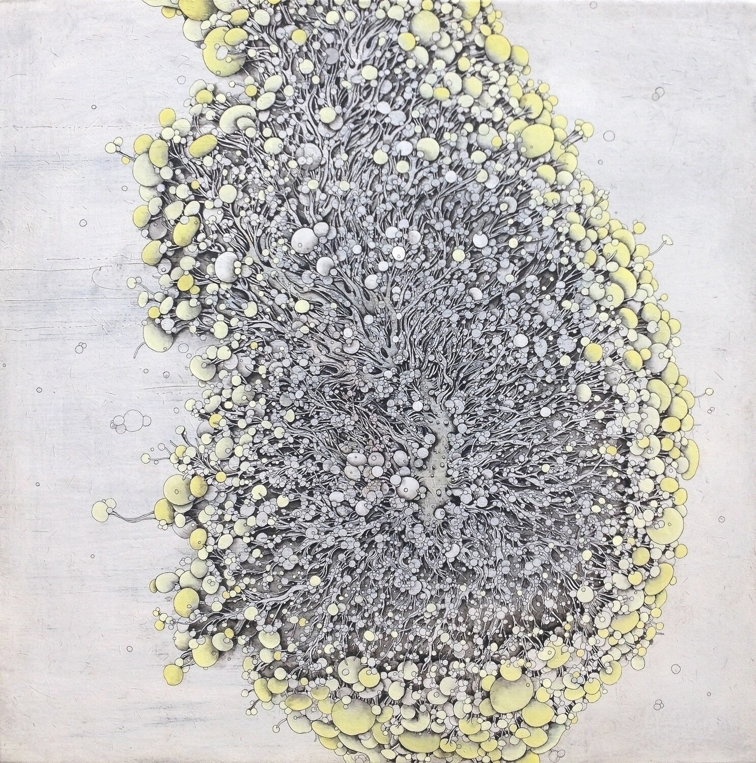 Rieswandi - Cilium (2018)