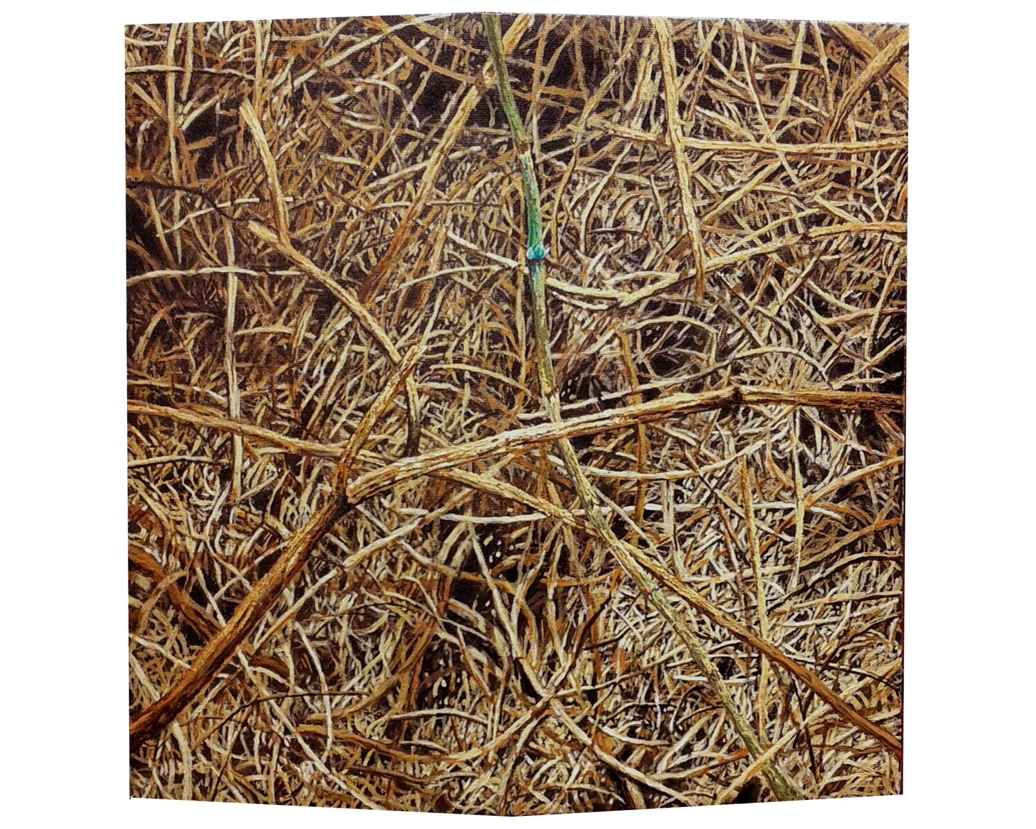 Suwandi Waeng - Ingin Tumbuh #3  (2020)