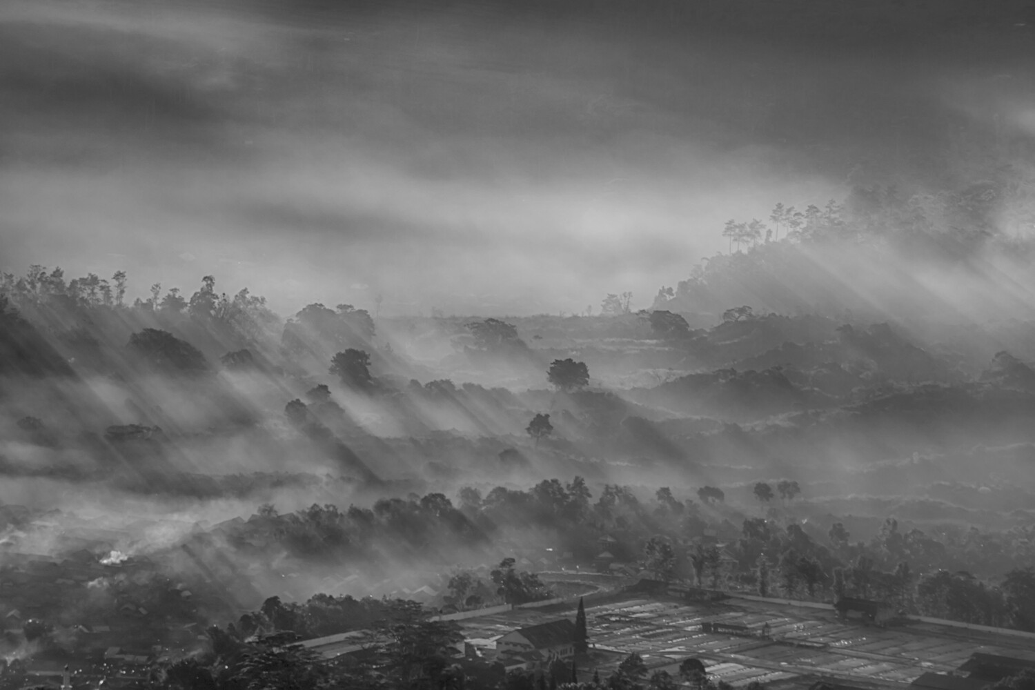 Faisal - Morning Mist (2019)