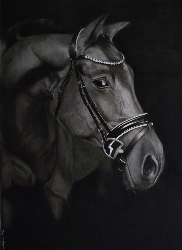 Ray Dachi - Horse (2022)