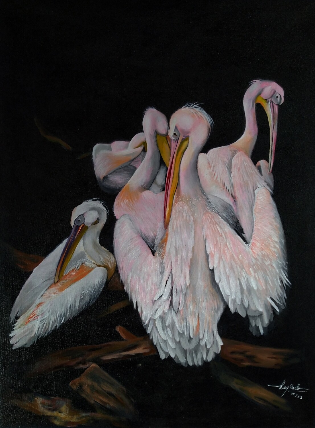 Ray Dachi - Flamingo (2022)