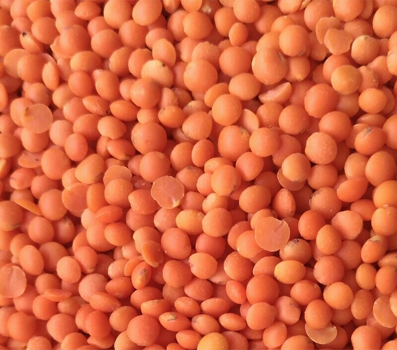 Lentilles Corail Entières - BIO - 500g