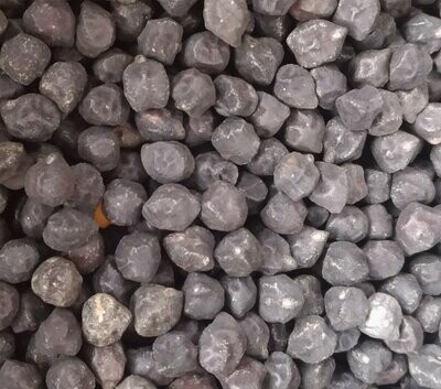 Pois chiches noirs BIO 500g